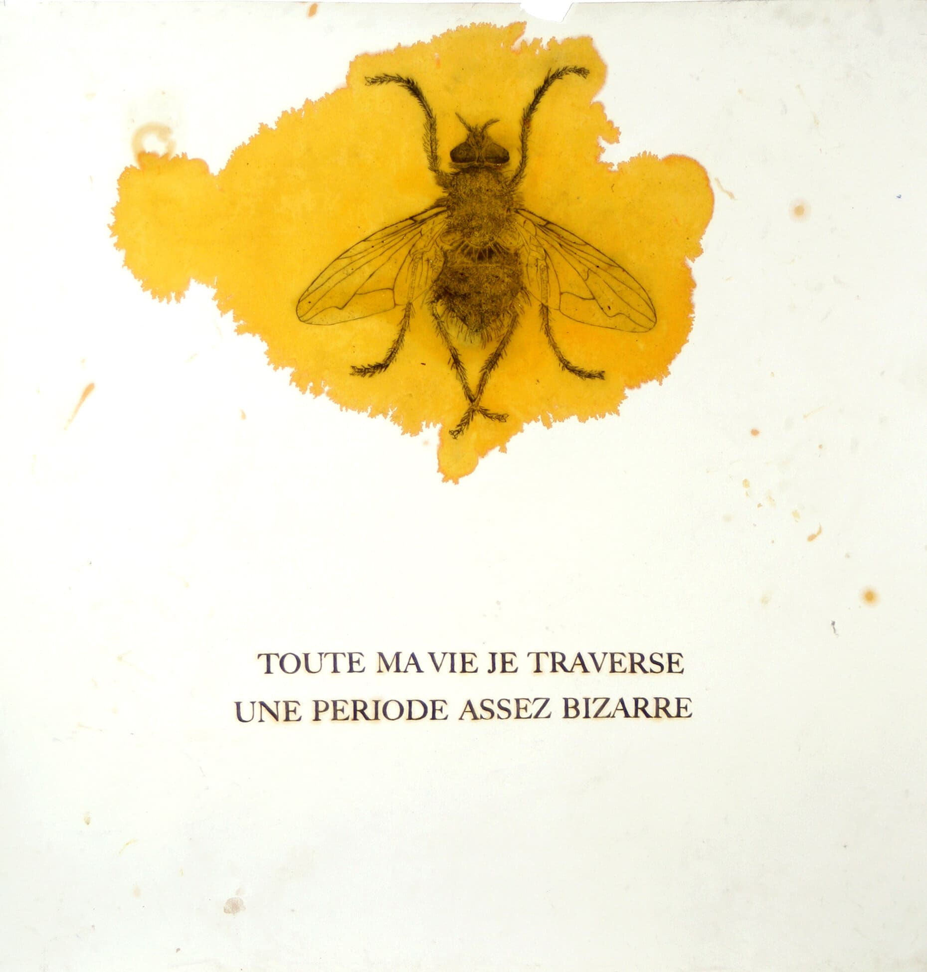 Galerie eva vautier drawing now paris