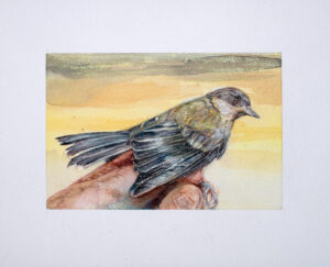 Iris Levasseur
Charbonnière, 2017/2024
Aquarelle et pierre noire sur papier
22 x 26,5cm
Courtesy Iris Levasseur et Galerie Antoine Dupin