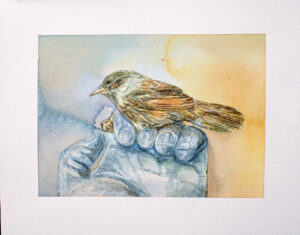 Iris Levasseur
Oiseau vert fond bleu jaune, 2015
Aquarelle et pierre noire sur papier
20,2 x 24 cm
Courtesy Iris Levasseur et Galerie Antoine Dupin