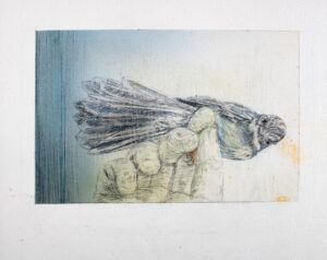 Iris Levasseur
Piwakawaka bleu, 2017/2024
Aquarelle et pierre noire sur papier
21,5 x 27 cm
Courtesy Iris Levasseur et Galerie Antoine Dupin