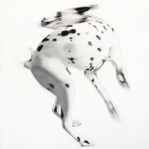 Katarzyna Wiesiołek,
Maïa,
2025,
Pigments secs sur papier,
70 x 70 cm,
Courtesy Galerie Éric Dupont, Paris.