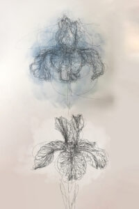 IRIS (Etude)
2024
De la Suite EDEN  - Extraits de l’Herbier Numérique de Giverny (Giverny Digital Herbarium) 
Dessins réalisés dans le jardin de Claude Monet à Giverny  par enregistrement des mouvements oculaires avec un eyetracker connecté à un bras robotisé équipé d’un porte-mine graphite 
Crayon de papier, acrylique 
70 x 100 cm
2025 
Courtesy : Galerie Wagner
© Michel Paysant
