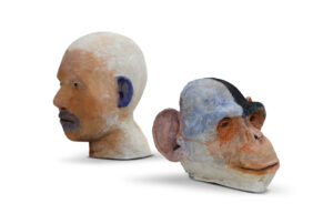 Trevor Gould, Black and Blue. Aug 2025, sculpture two heads life size (mature Chimp head), styrofoam, foam coat, clay, plaster, watercolour paint, glass eyes