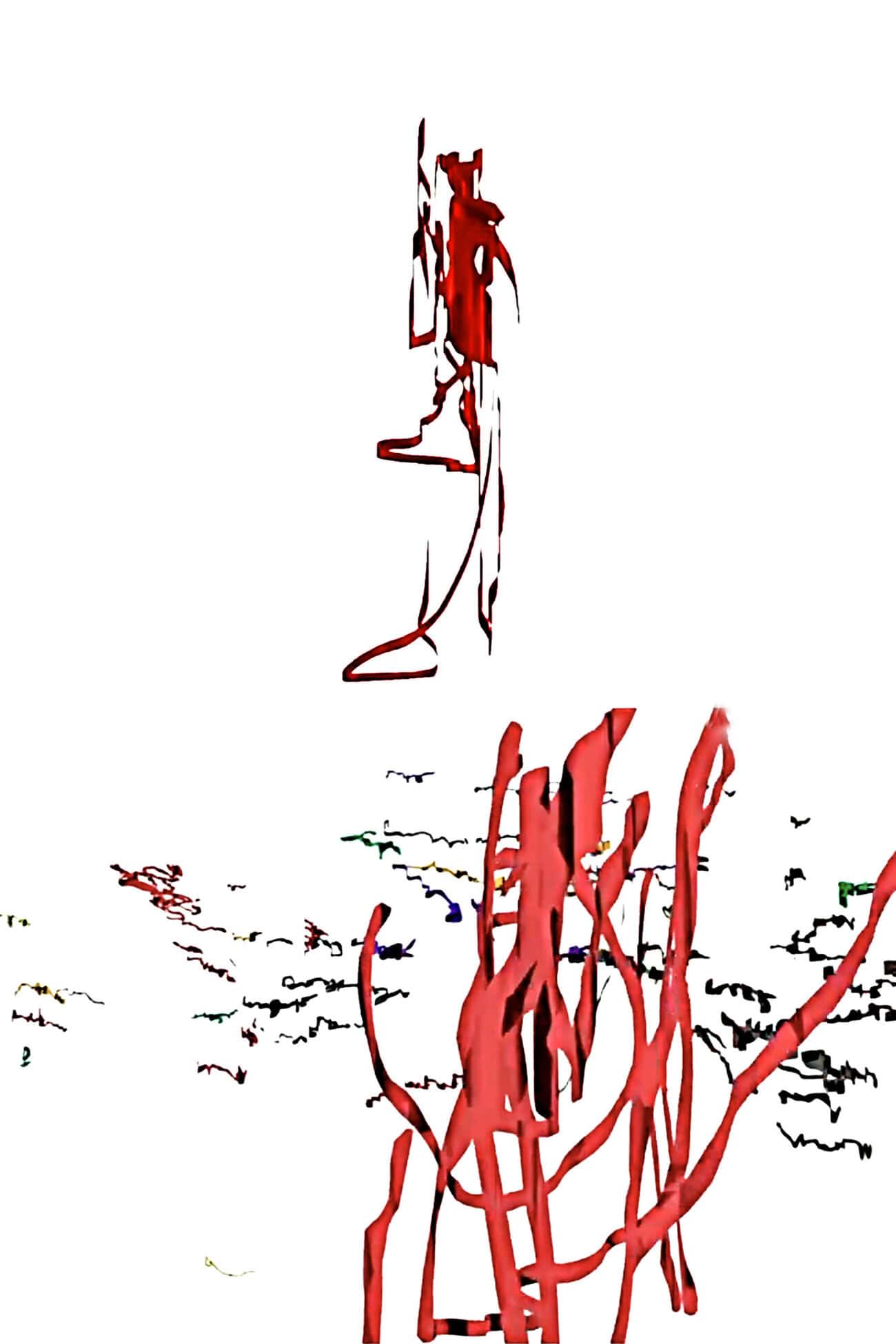 © Pascal Convert. Native movie 1. 2000