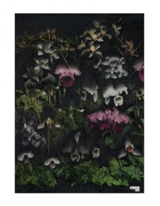 Guy Vording, Black Pages III - The rarest left - 2025 - 24 x 33 cm - watercolour pencil on old magazine page, courtesy Guy Vording / dudokdegroot