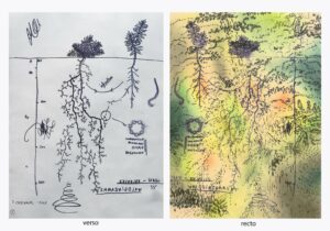 Fabrice Cazenave, Insolation 11, 42 x 30 cm, fusain sur papier, 2025, courtesy l'artiste et La Ferronnerie