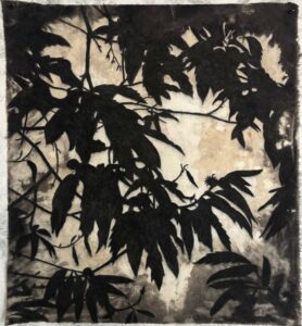 Fabrice Cazenave, Châtaignier, fusain sur feutre délavé, 58 x 52 cm, 2025, courtesy l'artiste et La Ferronnerie