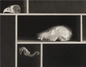 Pere Santilari, Wunderkammer, 25 x 33 cm, 2022. Artur Ramon Art