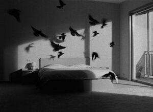 Ruben Bellinkx, The Black Sun (Birds) 2022, filmstill. Courtesy Ruben Bellinkx, Galerie Maurits van de Laar