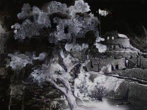 Guénaëlle de Carbonnières, Creuser l'image, Arbre, Saïda, Phénicie, 2025
encre et gravure à la pointe sèche sur tirage argentique 
contrecollage sur aluminium, encadrement boîte et verre antireflet 
pièce unique - 30 x 40 cm
© Guénaëlle de Carbonnières courtesy Galerie Binome