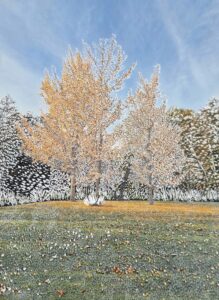 Raphaëlle Peria, Lumières d'automne, 2026, grattage sur photographie, scratching on a photograph, 27,5 x 20 cm, Courtesy Galerie Papillon