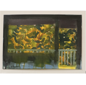 Rubber tree 11 